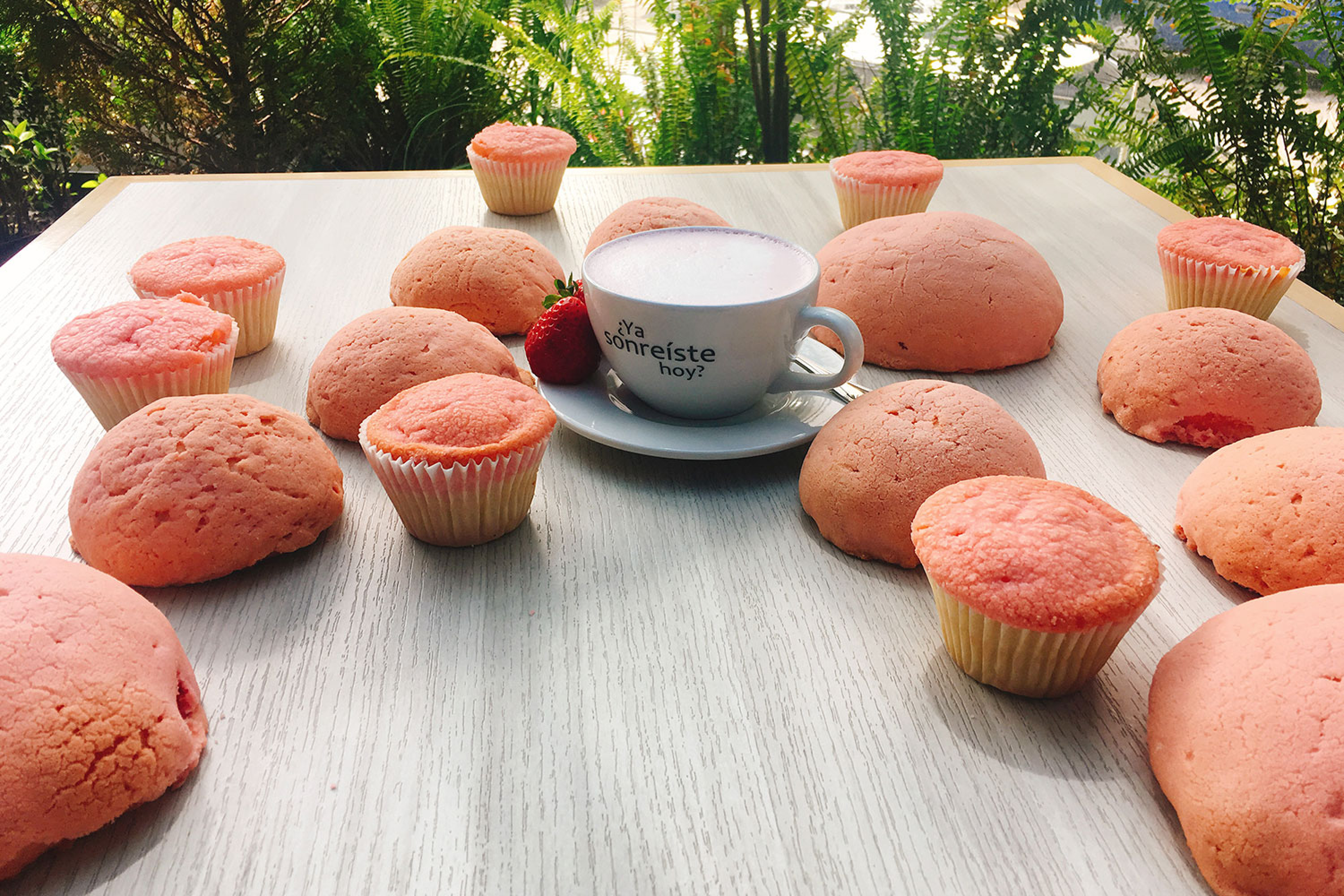 Conchas y Manteconchas Rosas contra el cáncer de mama