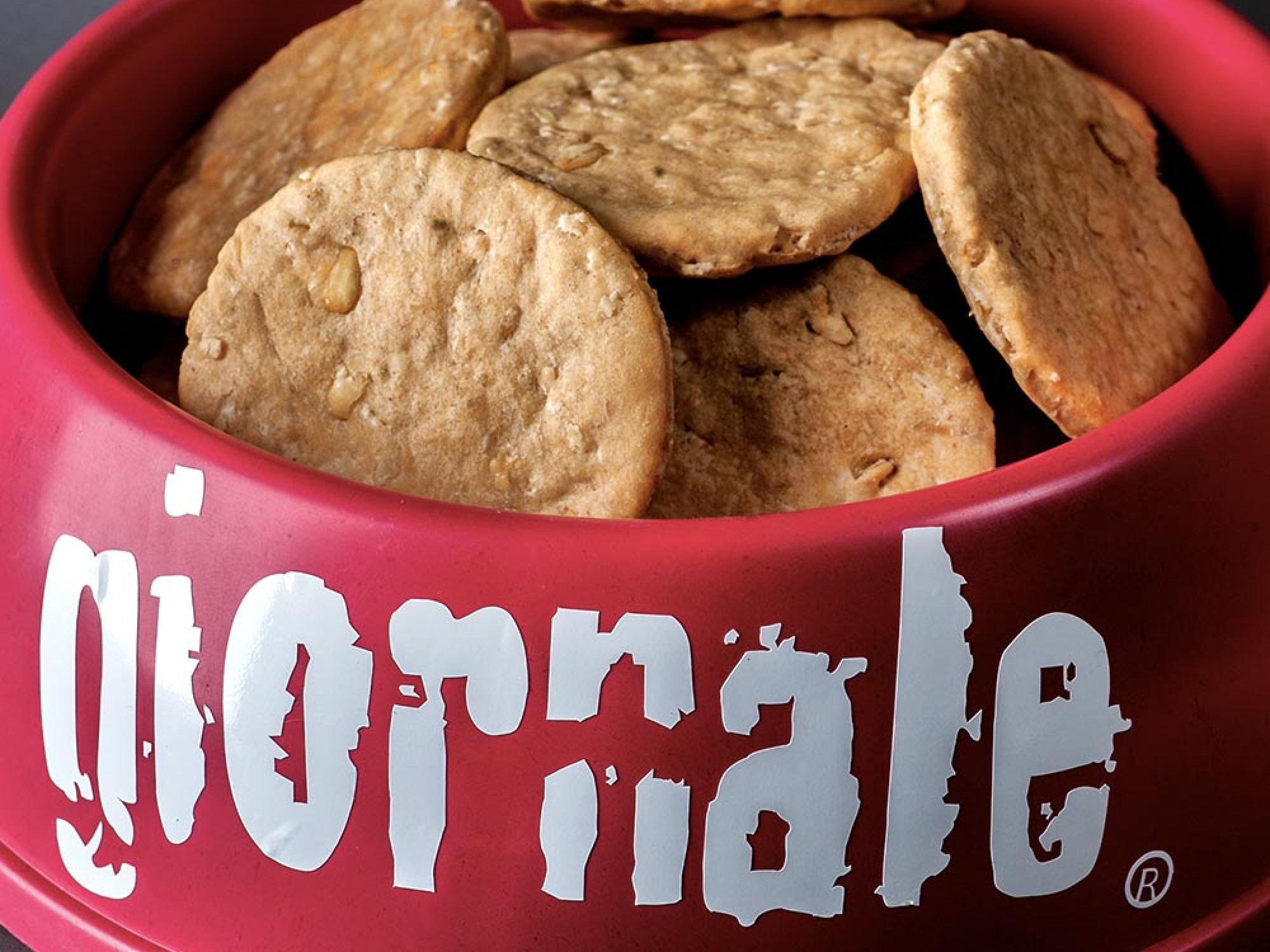 Giornale Dog Snacks