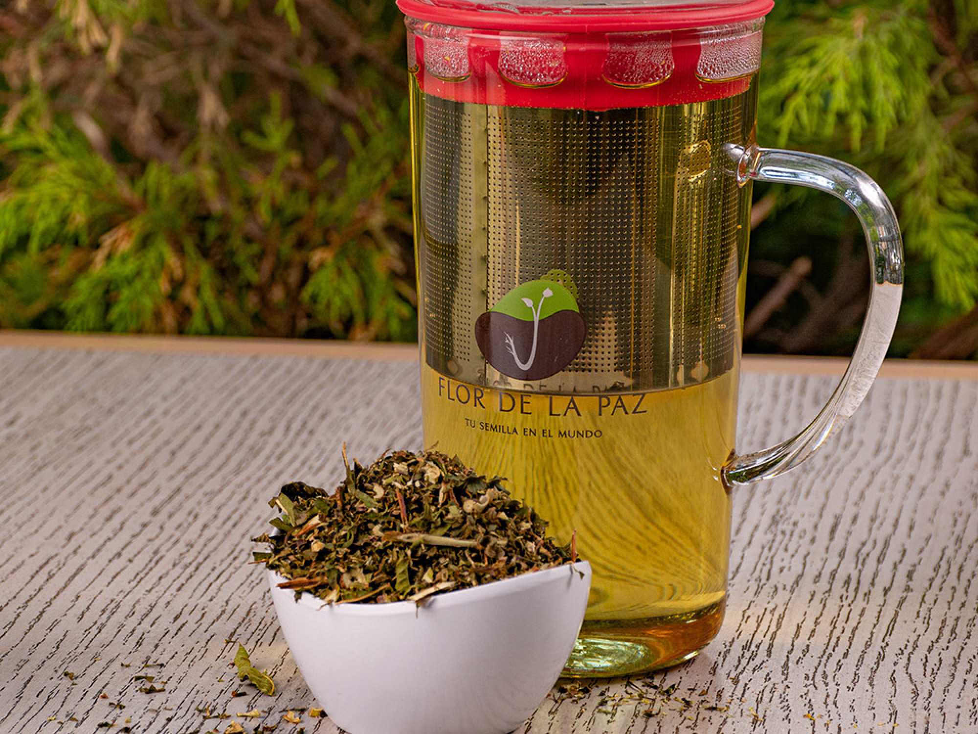 Infusión